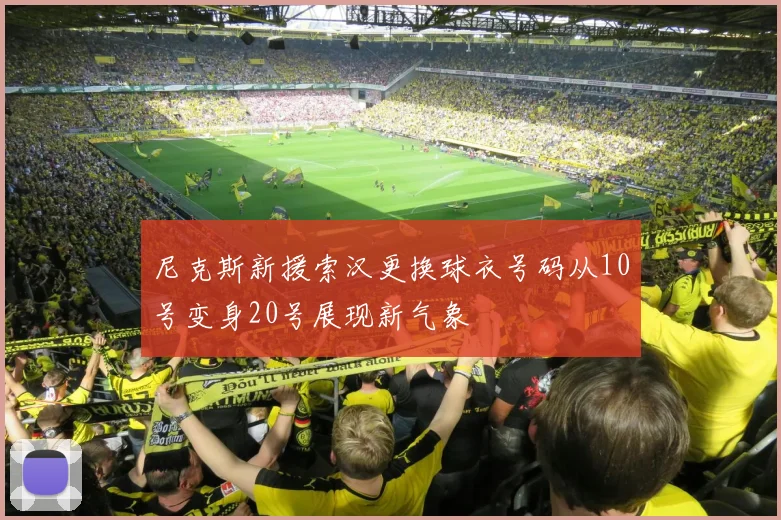 尼克斯新援索汉更换球衣号码从10号变身20号展现新气象